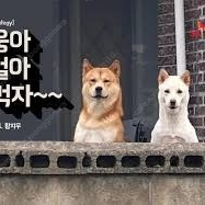 s20 폰보드 팔아요