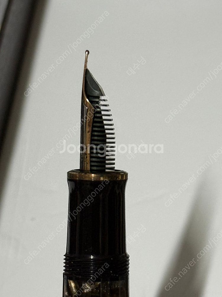 펠리칸 한정판 르네상스 브라운 m800 ef닙--1