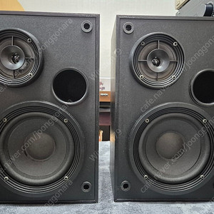 BOSE 북셀프 스피커