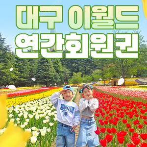 이월드 연간회원권