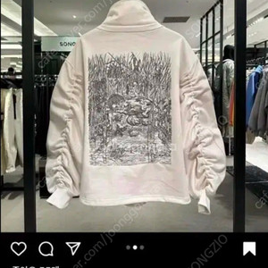 송지오 나르시스 하이넥