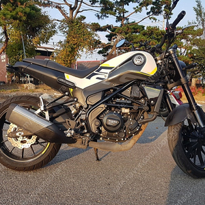 레온치노 250 팔아요
