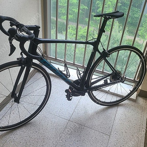 2021 tcr2 팝니다.