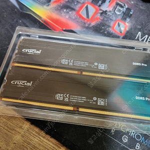 마이크론 DDR5 5600 16X2 32G 대원cts