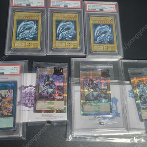 유희왕 25주년 도쿄돔 푸백 블랙매지션 PSA10등급 푸른눈의백룡 증원