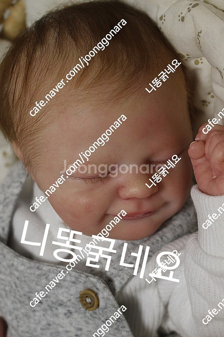 리본돌--1
