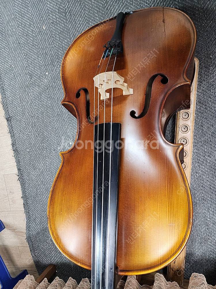 1/2 정현첼로 100호 고급현--3
