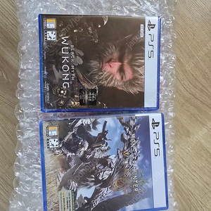 Ps5검은신화 오공 몬헌 와일즈