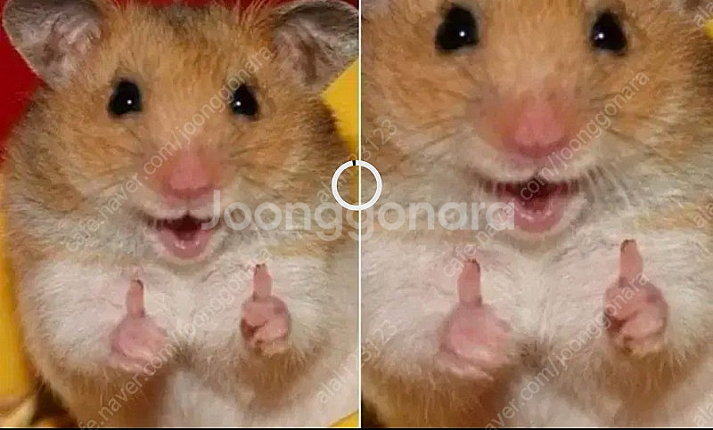 [구함]네이버페이 포인트상품권 90% 삽니다--0