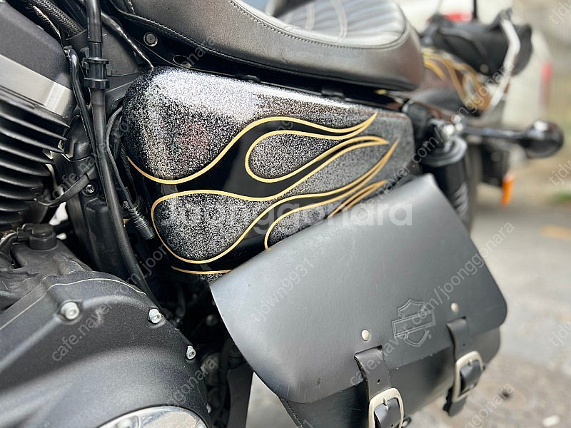 할리데이비슨 아이언883--5