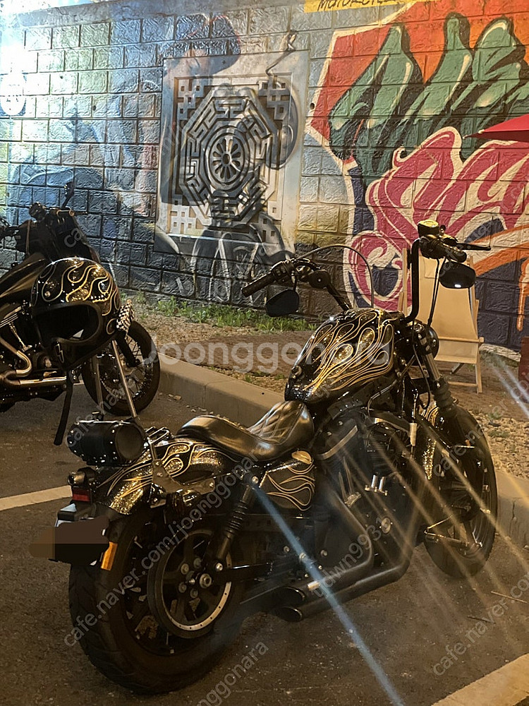 할리데이비슨 아이언883--8