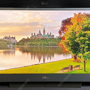 DELL C1422H 14인치 휴대용 모니터 팝니다.