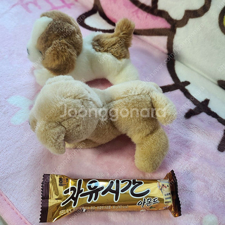 레트로 빈티지 아기강아지 인형 2마리 시고르자브종--5