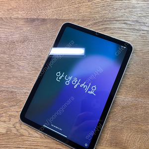 아이패드미니6세대 256g 셀룰러, 펜슬, 애플케어