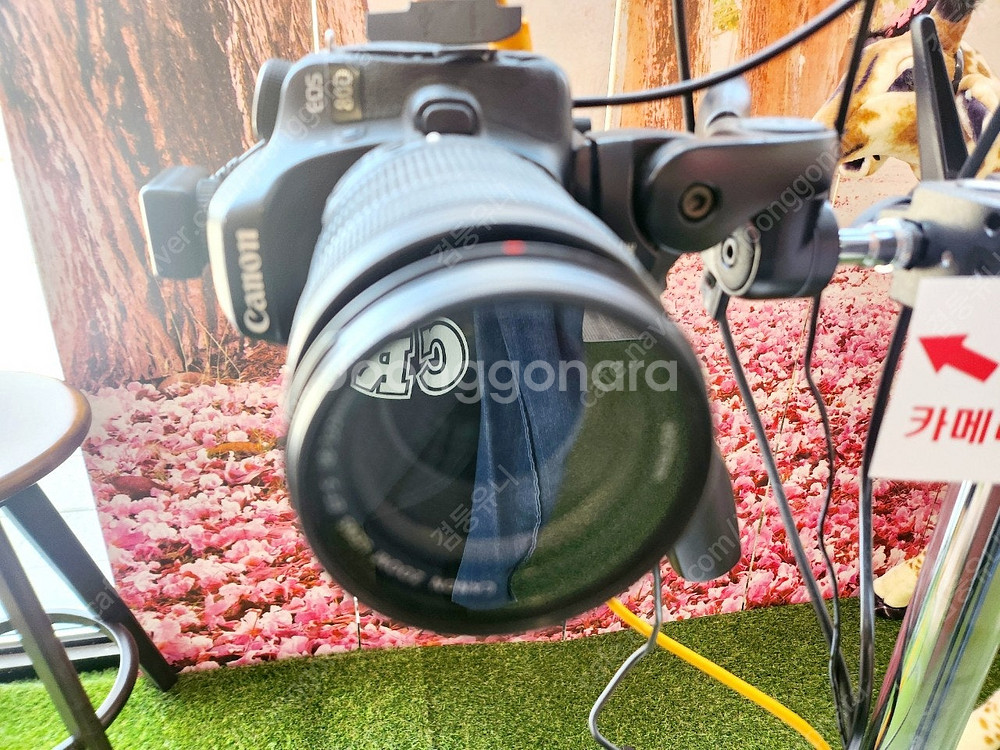 캐논 EOS 80D DSLR 카메라와 EF-S 18-1...--4