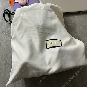가비 구찌 백팩