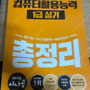 시나공 컴퓨터활용능력 1급 실기 총정리