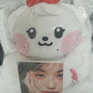 미개봉 2개 일괄 덤100장 이상)아이브 원영 정품 미니니 체리 인형과 아이브 엠파시 원영 디지팩 앨범 아이브 비공굿 원영 포카 등 덤드림