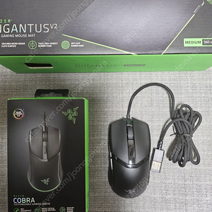 RAZER COBRA 게이밍 마우스 + 기간투스 V2 마우스 패드 팝니다.