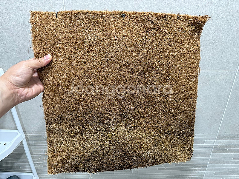 삼파츠 45큐브 뚜껑 + 45큐브 수조(어항) 사육장 ...--4