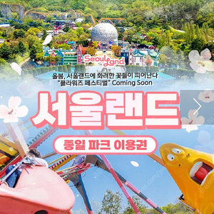 서울랜드 종일이용권