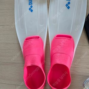 아레나 오리발(36-38)+카디프 스케이트