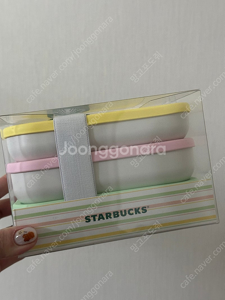 스타벅스 md 스프링가든 피크닉 런치박스--0