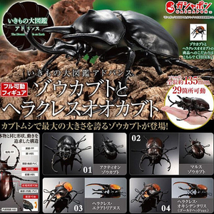 BANDAI(반다이), 생물대도감(헤라클레스 장수풍뎅이), 급처합니다.