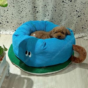 강아지 쿠션 방석 하우스 , 고양이숨숨집
