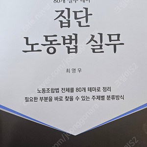 집단노동법 실무 최영우 저 개정9판