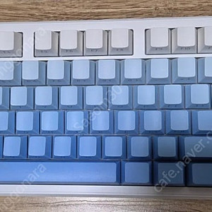 독거미키보드 AULA F87PRO