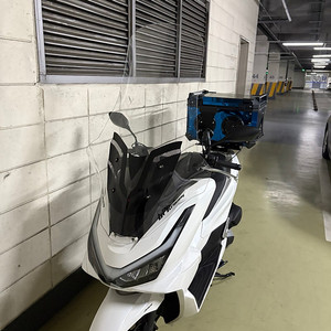 Pcx125 25년식 배달세팅 유상운송보험 리스승계