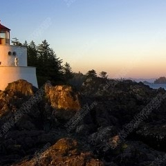 스타벅스 아메리카노 / 스벅 아메 2잔+부드러운 생크림 카스텔라