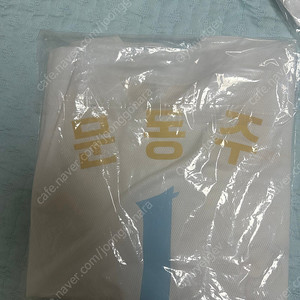 한화이글스 꿈돌이 레플리카 문동주 100