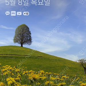닌텐도 스위치 조이콘 삽니다