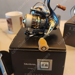 13세르테이트1003