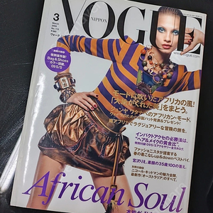 보그 잡지 (vogue japan, vogue paris 등 다수)