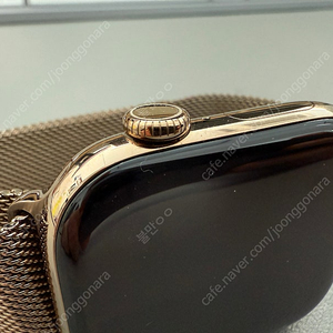 애플워치 10_ (Cellular) Titanium 46MM_애플케어