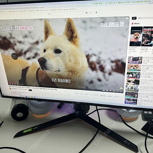 LG 울트라기어 27gp950 팝니다