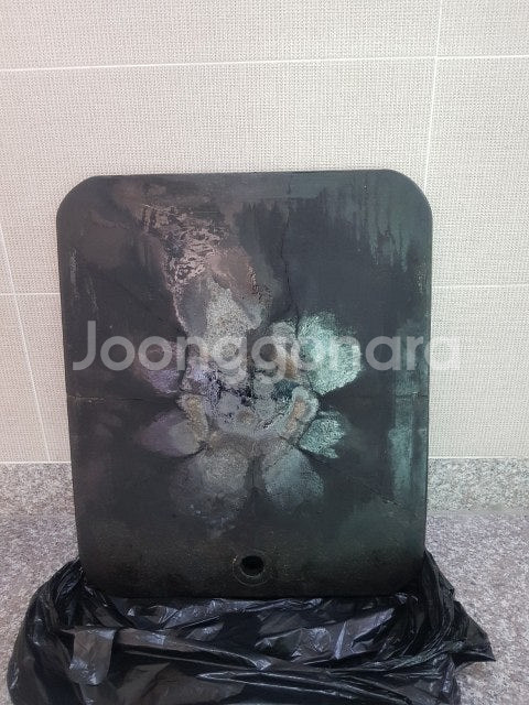 야외 바베큐 BBQ 게르마늄 돌판+일회용 철망 바베큐 ...--1