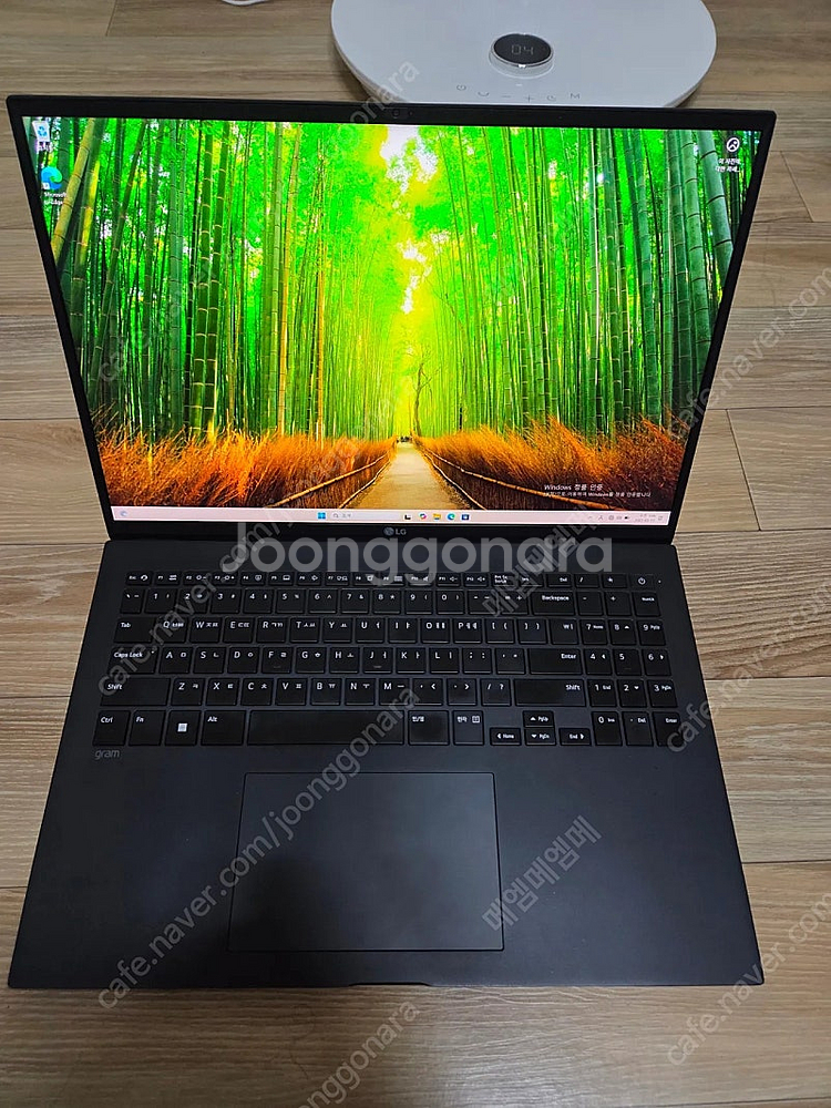 LG 그램 16인치(16ZD90Q-GX5LK)--0