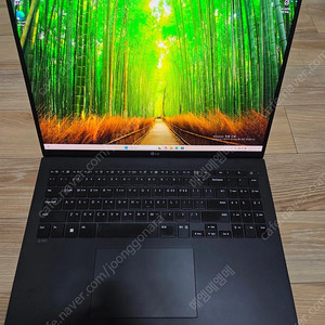 LG 그램 16인치(16ZD90Q-GX5LK)