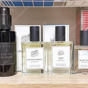 블루힐 프래그런스 3종+LVNEA 오드플로라이드 100ml 일괄
