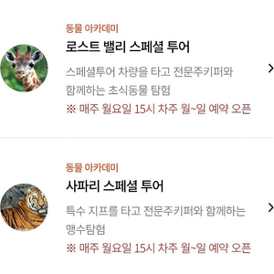 에버랜드 5/19~6월 1일 사파리스페셜투어 / 로스트밸리스페셜투어 양도