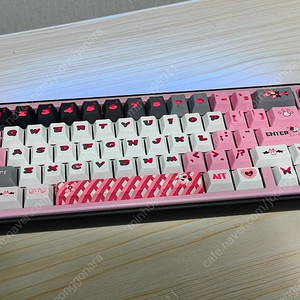 paw65 로터스 핑크축