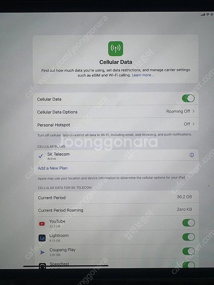 아이패드 프로 M4 13 셀룰러 256gb 민트급 실버...--2