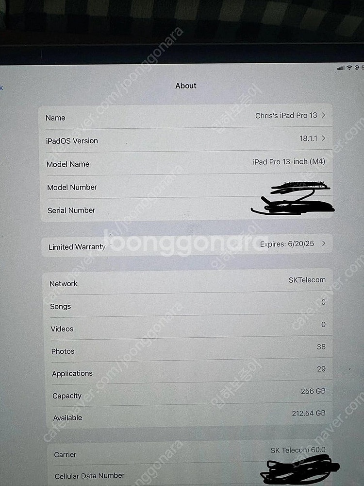 아이패드 프로 M4 13 셀룰러 256gb 민트급 실버...--4