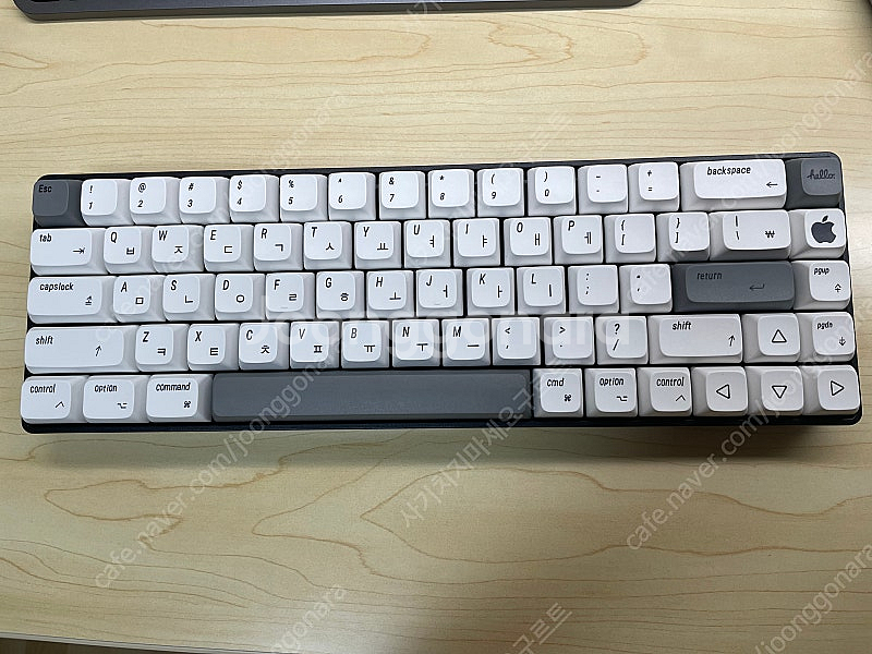 오테뮤 저소음 라임 블루투스 키보드--0