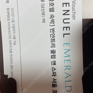 반얀트리 디럭스 풀 남산뷰 (6.14. 토 예약중) 호텔 숙박권 양도, 날짜 변경 가능