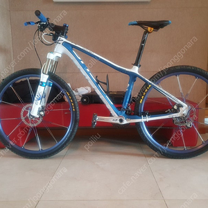 포커스 레이븐 산악 MTB 자전거 S